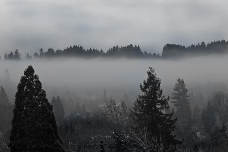 fog layers in the Valley